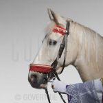 09-03-2005 Het Paard van Sinterklaas te Amsterdam, in opdracht van Locust Entertainment. 

[keywords]Paardenhoofd, Schimmel, hand van Sinterklaas[/keywords]